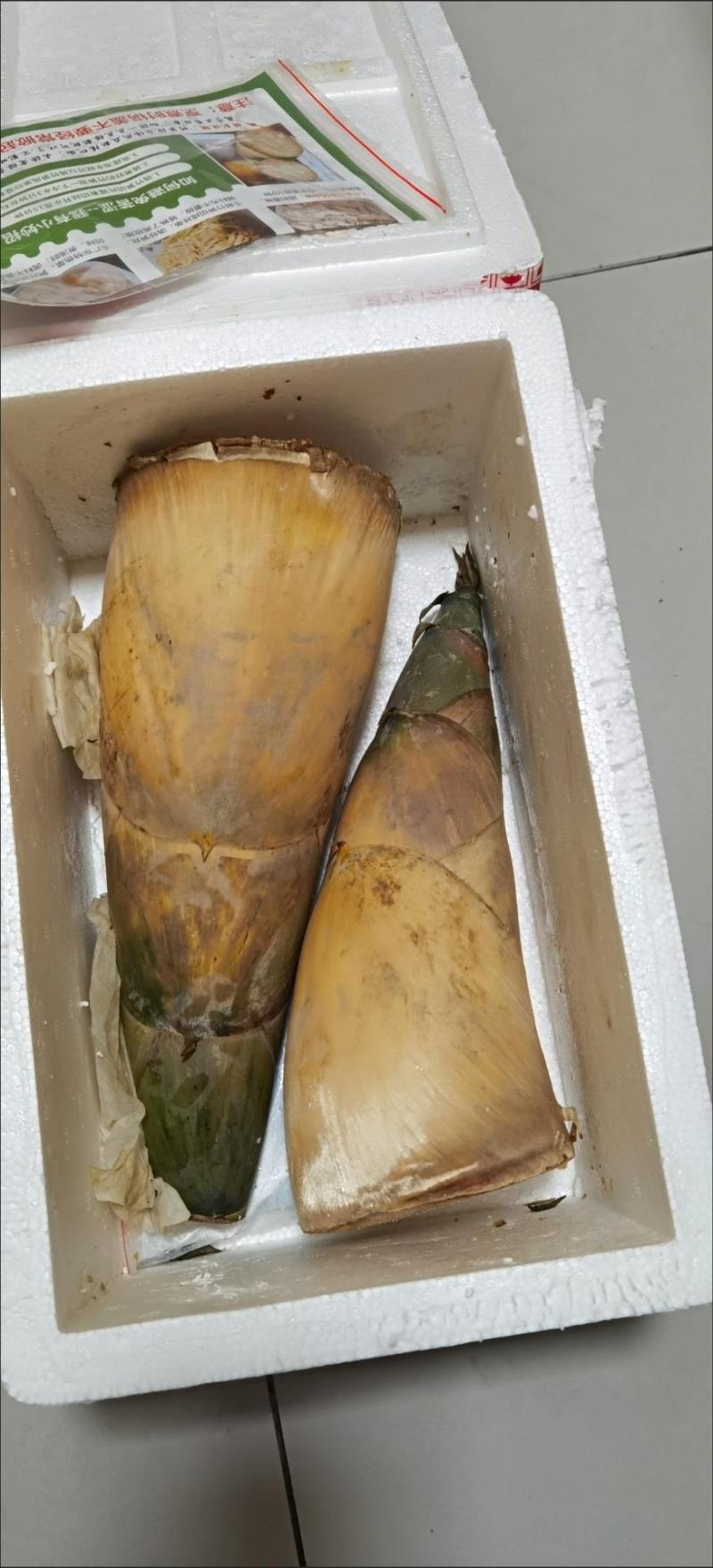 竹笋竹笋新鲜笋新鲜春笋夏笋鲜竹笋现挖苦笋甜笋竹笋批发蔬菜
