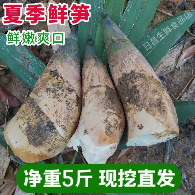 竹笋竹笋新鲜笋新鲜春笋夏笋鲜竹笋现挖苦笋甜笋竹笋批发蔬菜