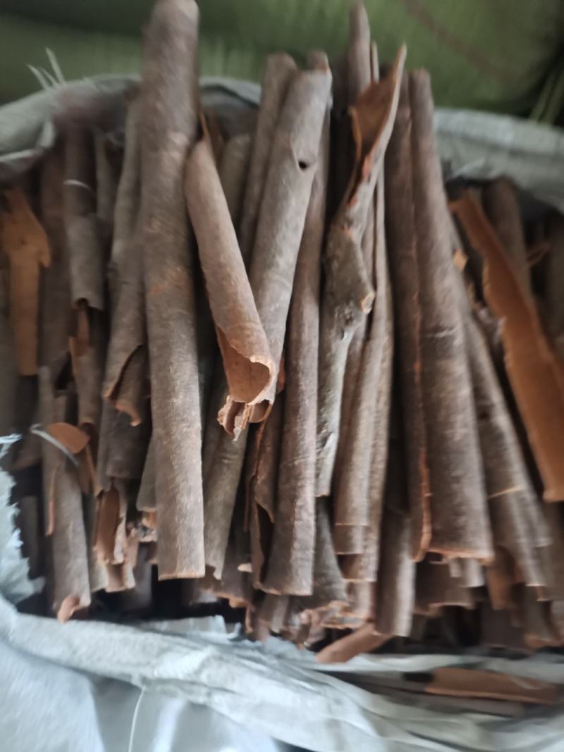 【诺一药材】桂皮肉桂精品药材精品药材