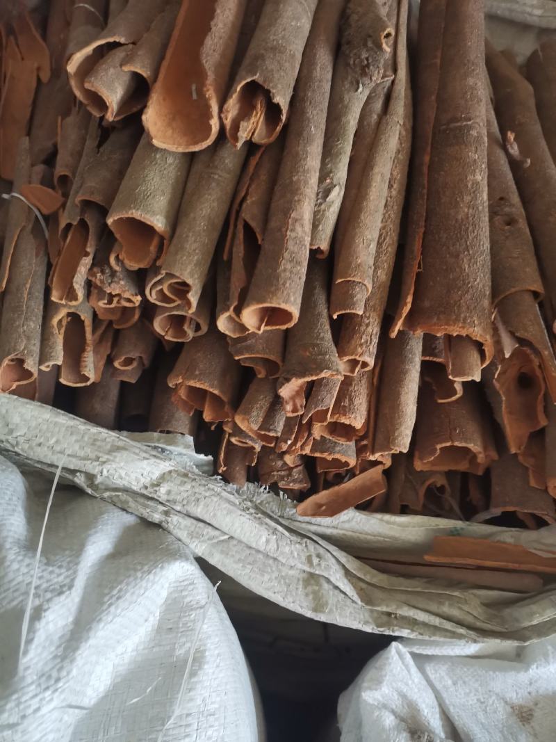 【诺一药材】桂皮肉桂精品药材精品药材