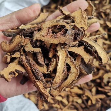【诺一药材】炒枳壳枳壳片精品药材