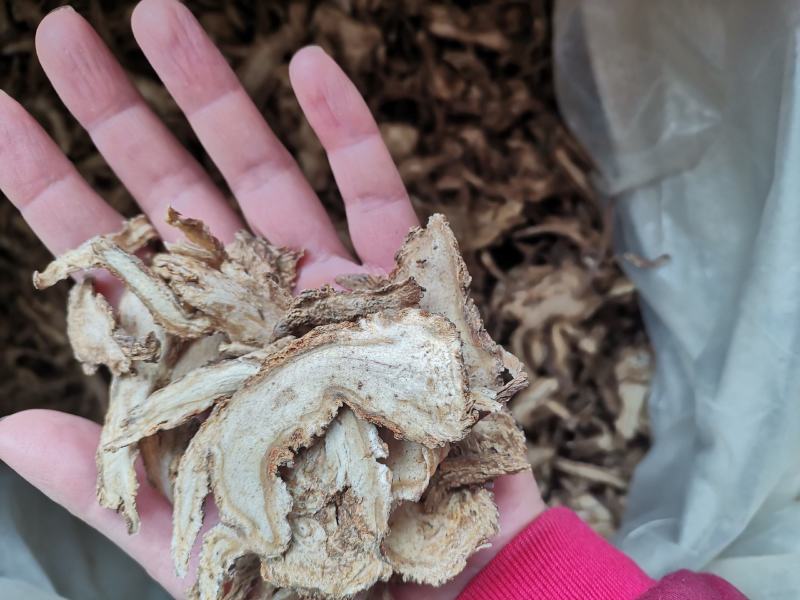 当归过3个筛精品当归片