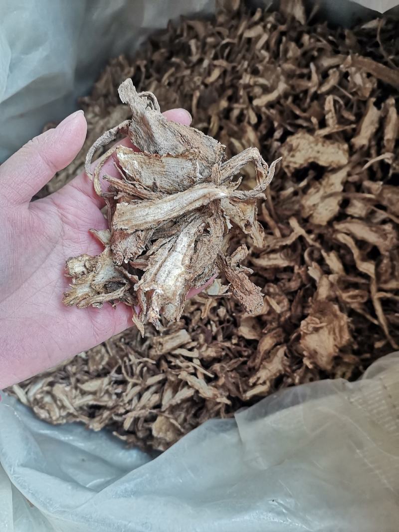 当归过3个筛精品当归片