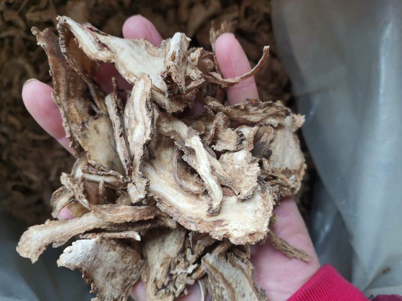 当归过3个筛精品当归片
