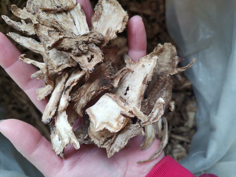 当归过3个筛精品当归片