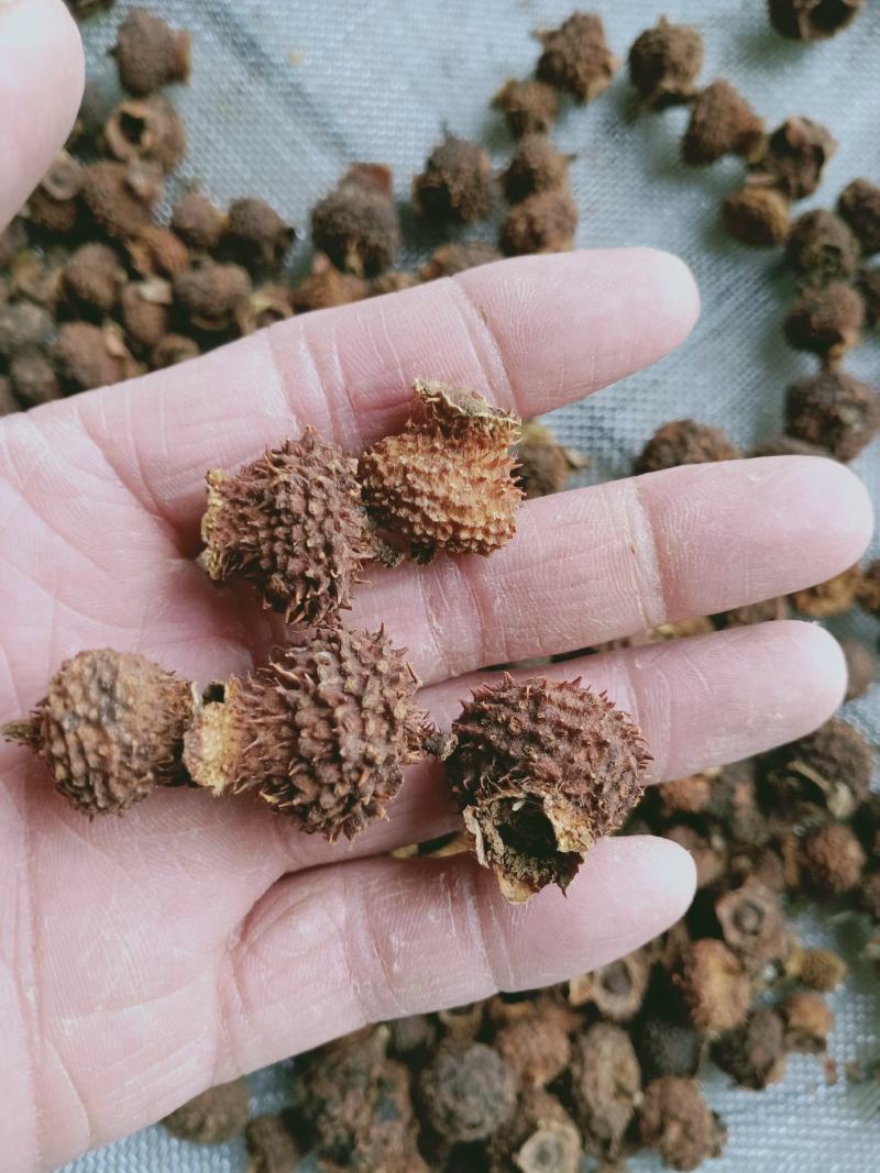 刺梨，刺梨果野生绿色干品，量大从优，欢迎选购！