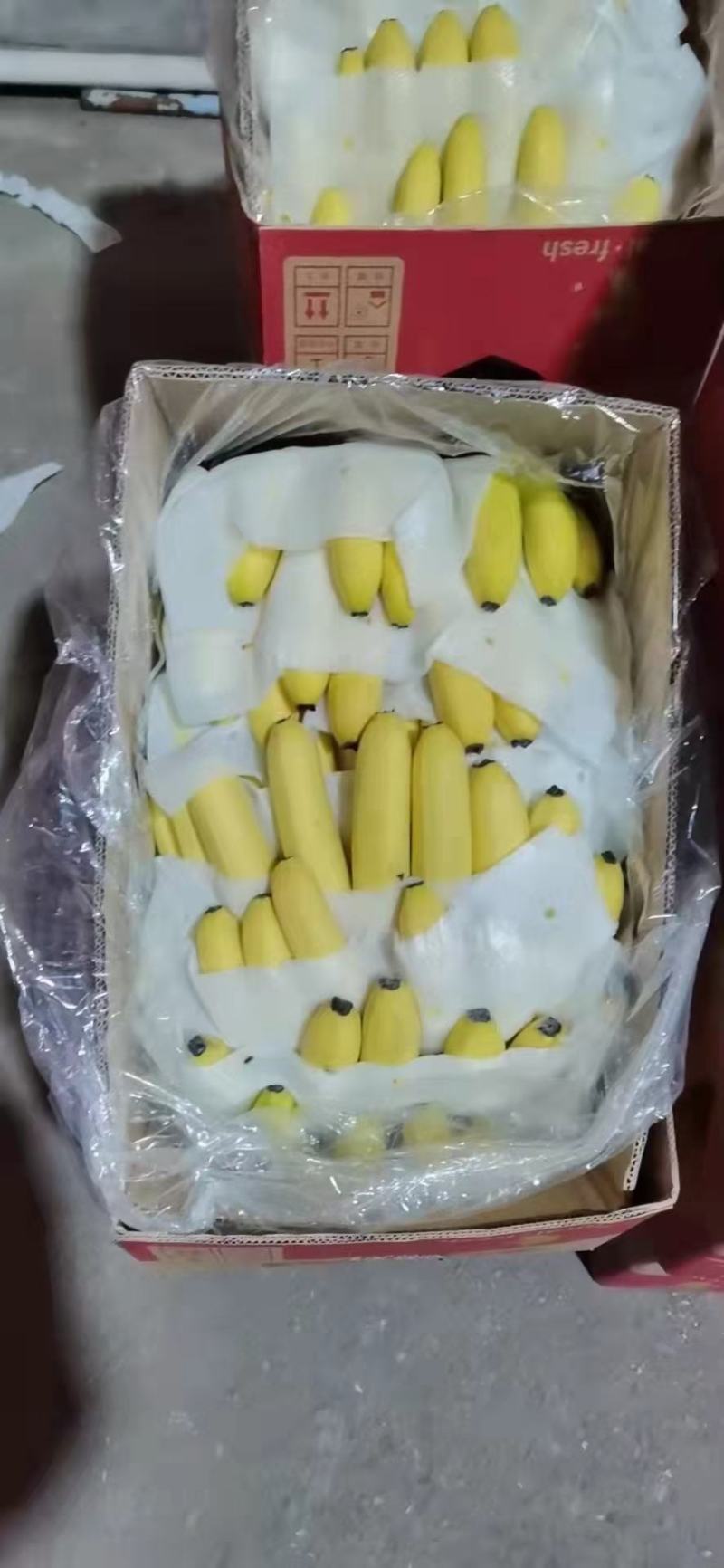 香蕉