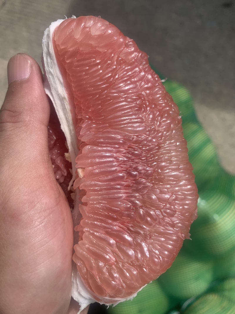 福建红心柚，皮薄肉厚糖度高，支持电商一件代发