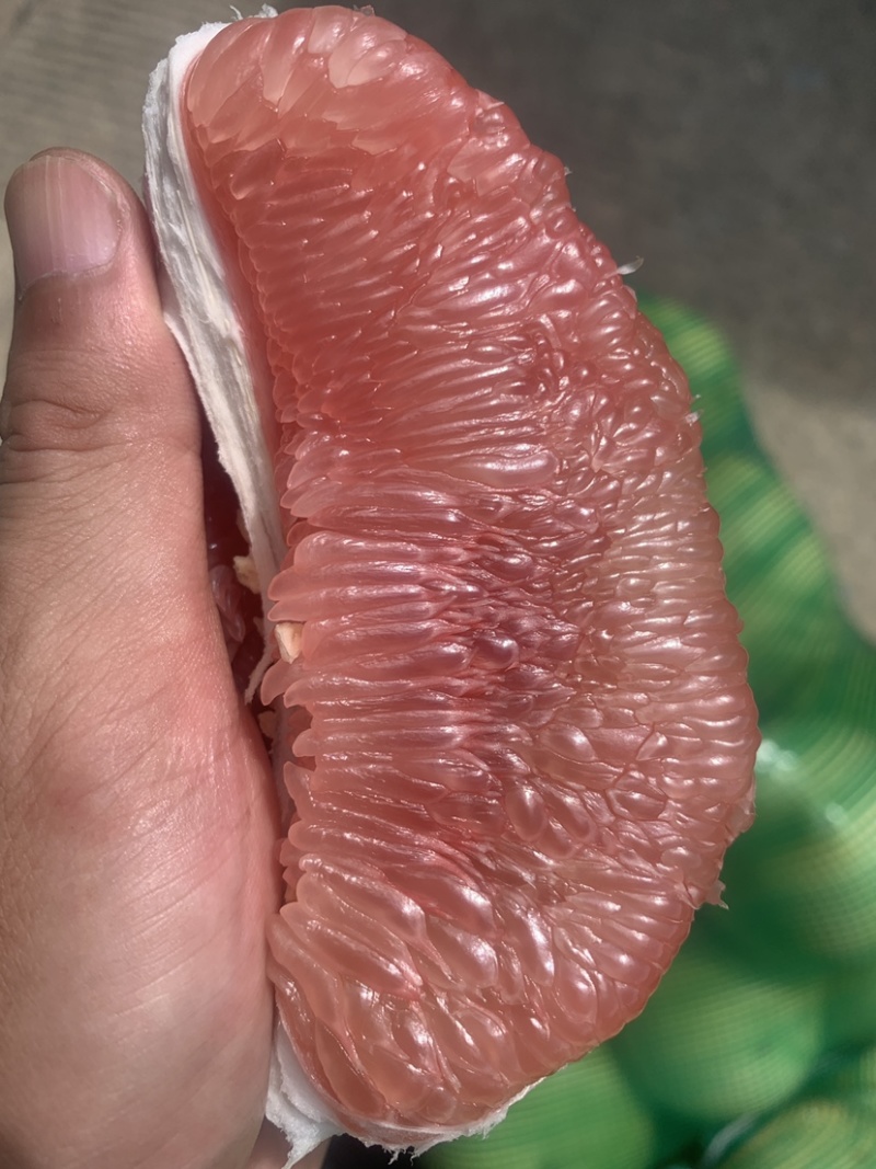 福建红心柚，皮薄肉厚糖度高，支持电商一件代发