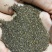 爬藤大牵牛花种子喇叭花混色混色重瓣多色矮牵牛种子