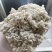 千日红花种庭院景观火球花阳台盆栽观赏花卉春天花种子