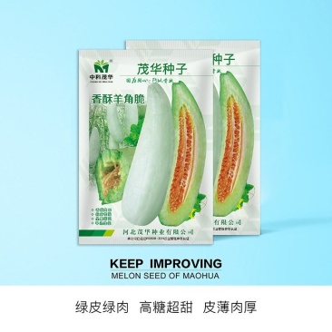 香酥羊角脆甜瓜种子酥脆清香爽口灰白皮绿肉橘瓤