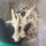 去骨鸡爪