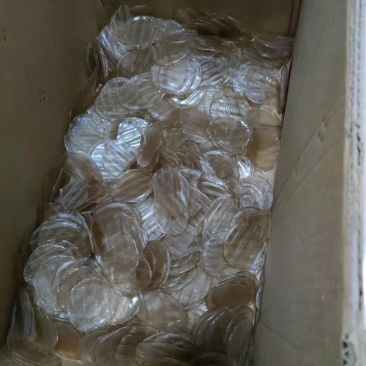 红薯小粉皮，电商平台热销产品，欢迎线上线下老板洽谈。