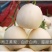 香满园甜瓜种子，糖度高，香味浓郁，适合基地种植