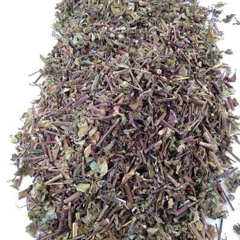 猫须草，肾茶正品野生新货，欢迎咨询选购，量大电话联系
