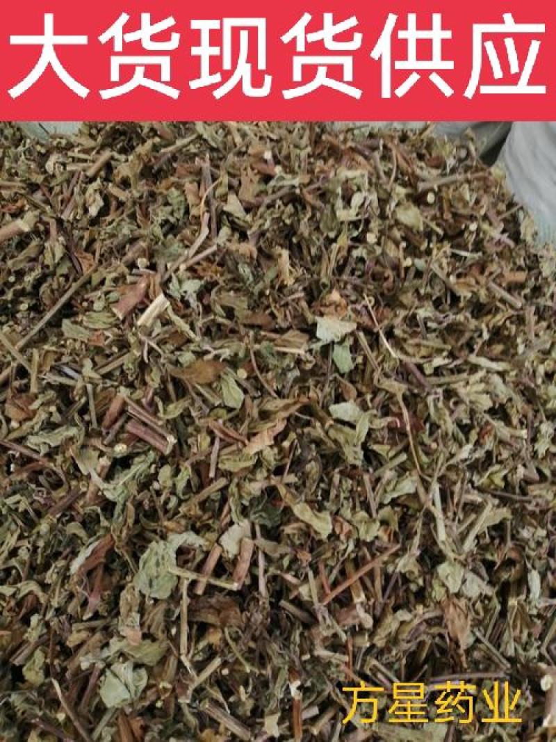 猫须草，肾茶正品野生新货，欢迎咨询选购，量大电话联系