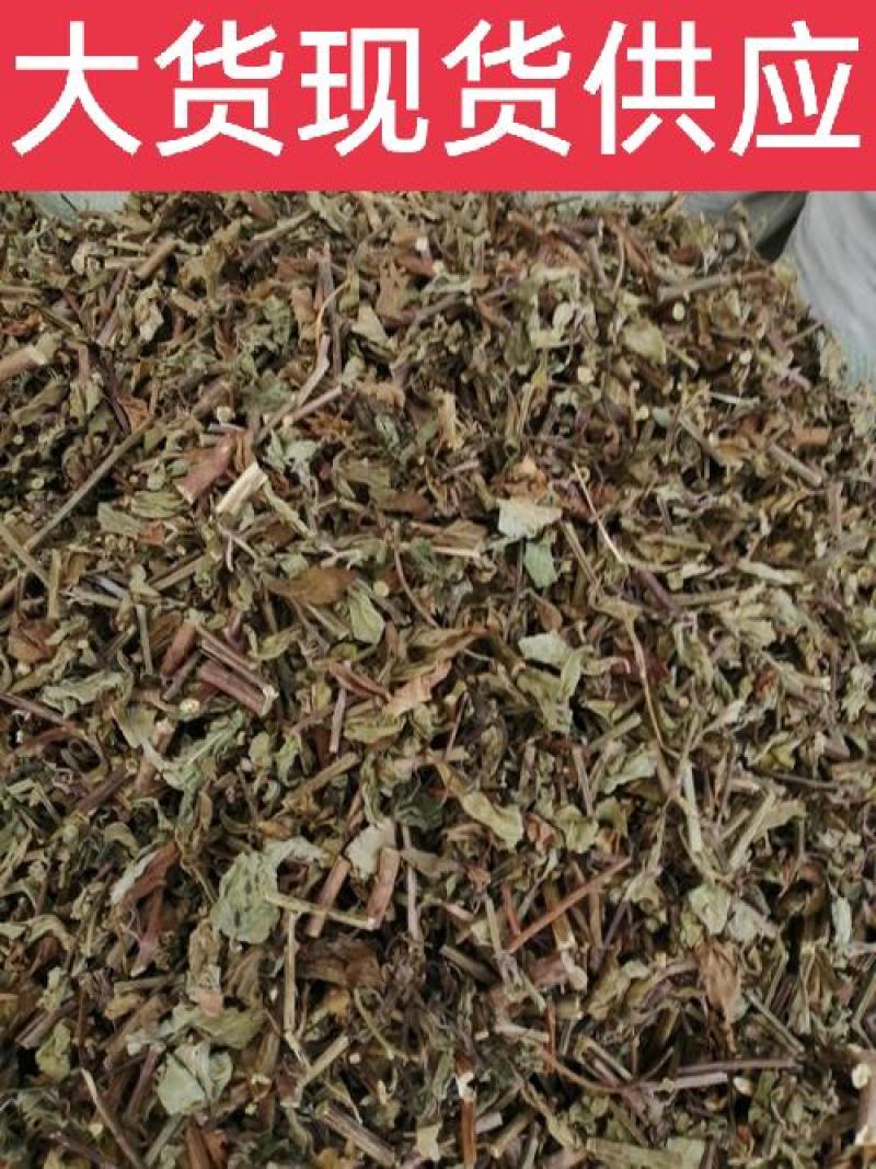 猫须草，肾茶正品野生新货，欢迎咨询选购，量大电话联系