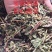 猫须草，肾茶正品野生新货，欢迎咨询选购，量大电话联系