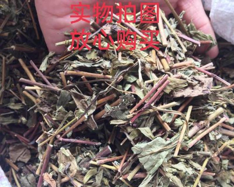 猫须草，肾茶正品野生新货，欢迎咨询选购，量大电话联系