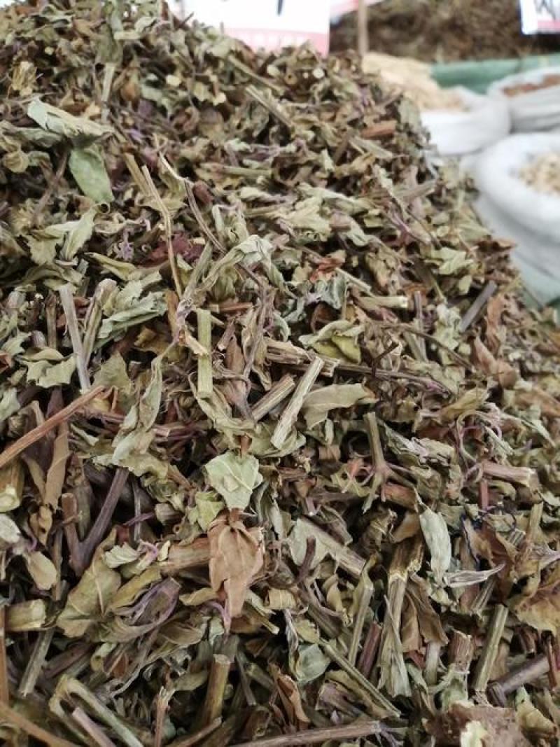 猫须草，肾茶正品野生新货，欢迎咨询选购，量大电话联系