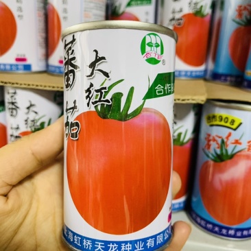 合作903大红番茄种子自封顶早熟大红果西红柿种子酸甜