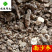 沙参南沙参好统货无碎末供应各种中药材