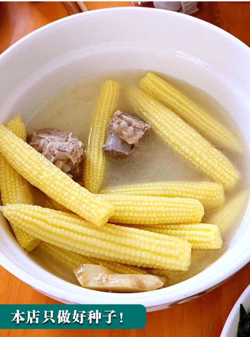 现摘甜玉米笋迷你小玉米笋水果玉米笋新鲜沙拉蔬菜食材包邮。