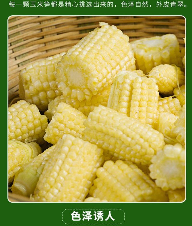 现摘甜玉米笋迷你小玉米笋水果玉米笋新鲜沙拉蔬菜食材包邮。