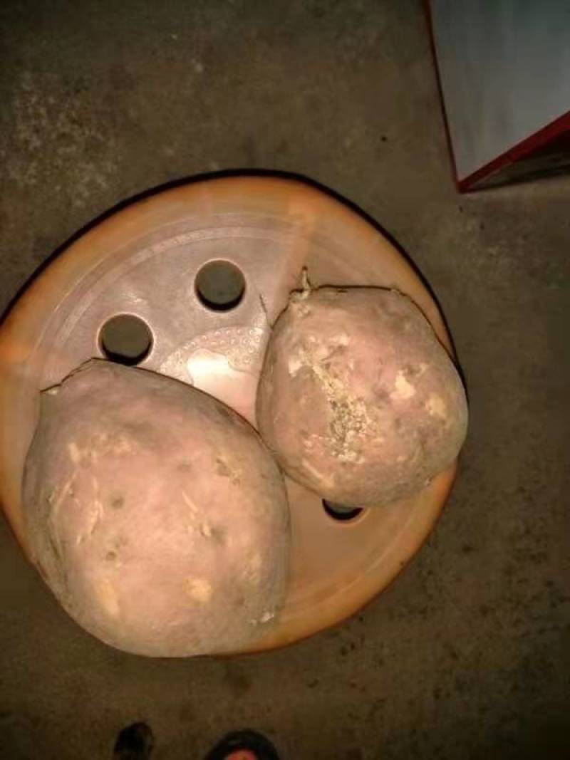 有要地瓜的联系一下货源充足