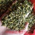 莲子芯，正品无硫新货莲子心质量保证，欢迎咨询选购！