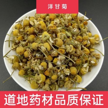 甘菊，洋甘菊正品无硫质量保证，经营各种中药材欢迎咨询购买