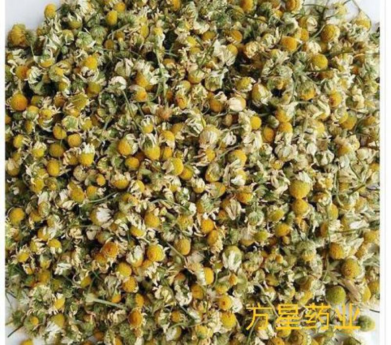 甘菊，洋甘菊正品无硫质量保证，经营各种中药材欢迎咨询购买