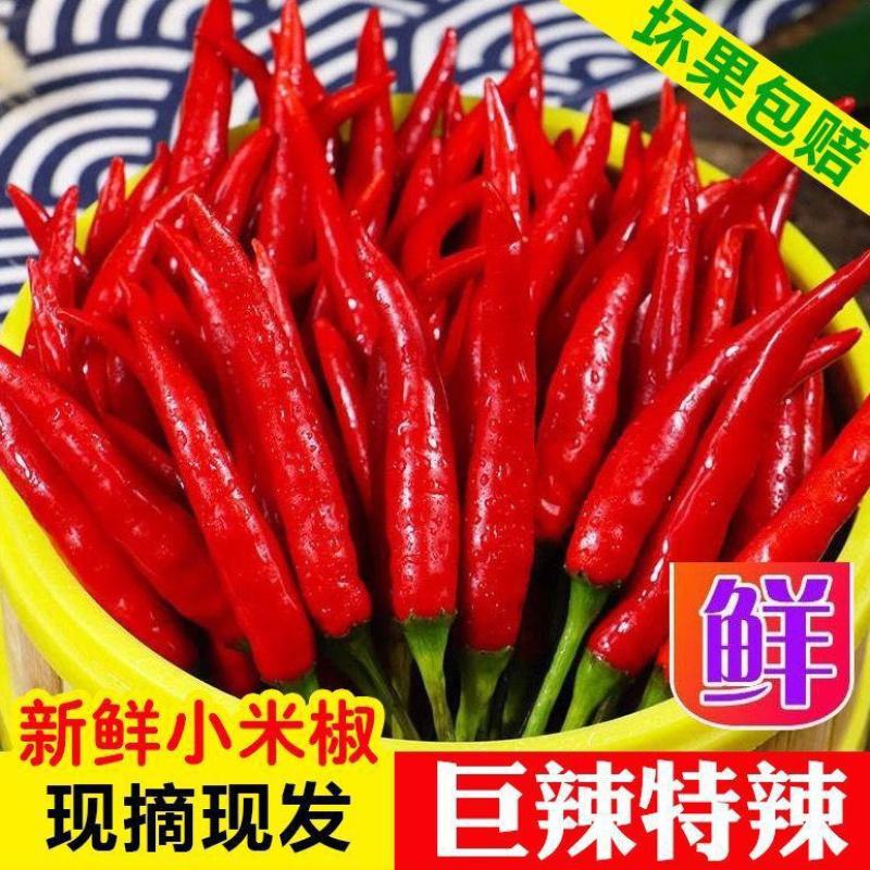 新鲜小米椒特辣小米辣鲜椒红辣椒产地直发包