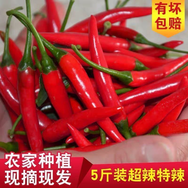 新鲜小米椒特辣小米辣鲜椒红辣椒产地直发包