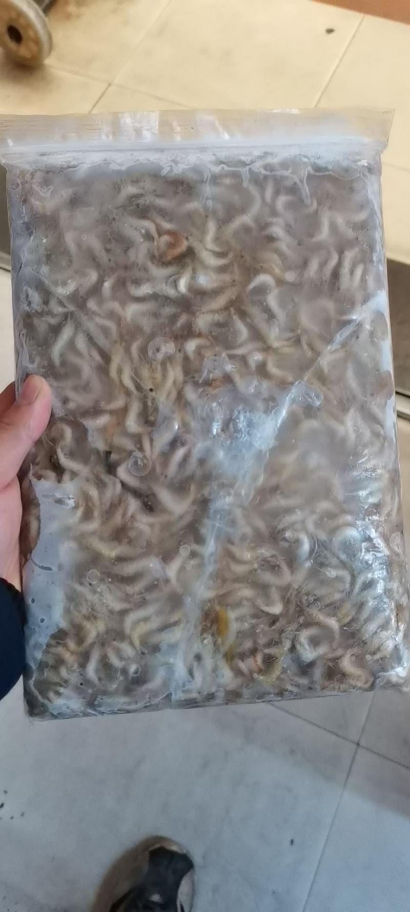 小河虾