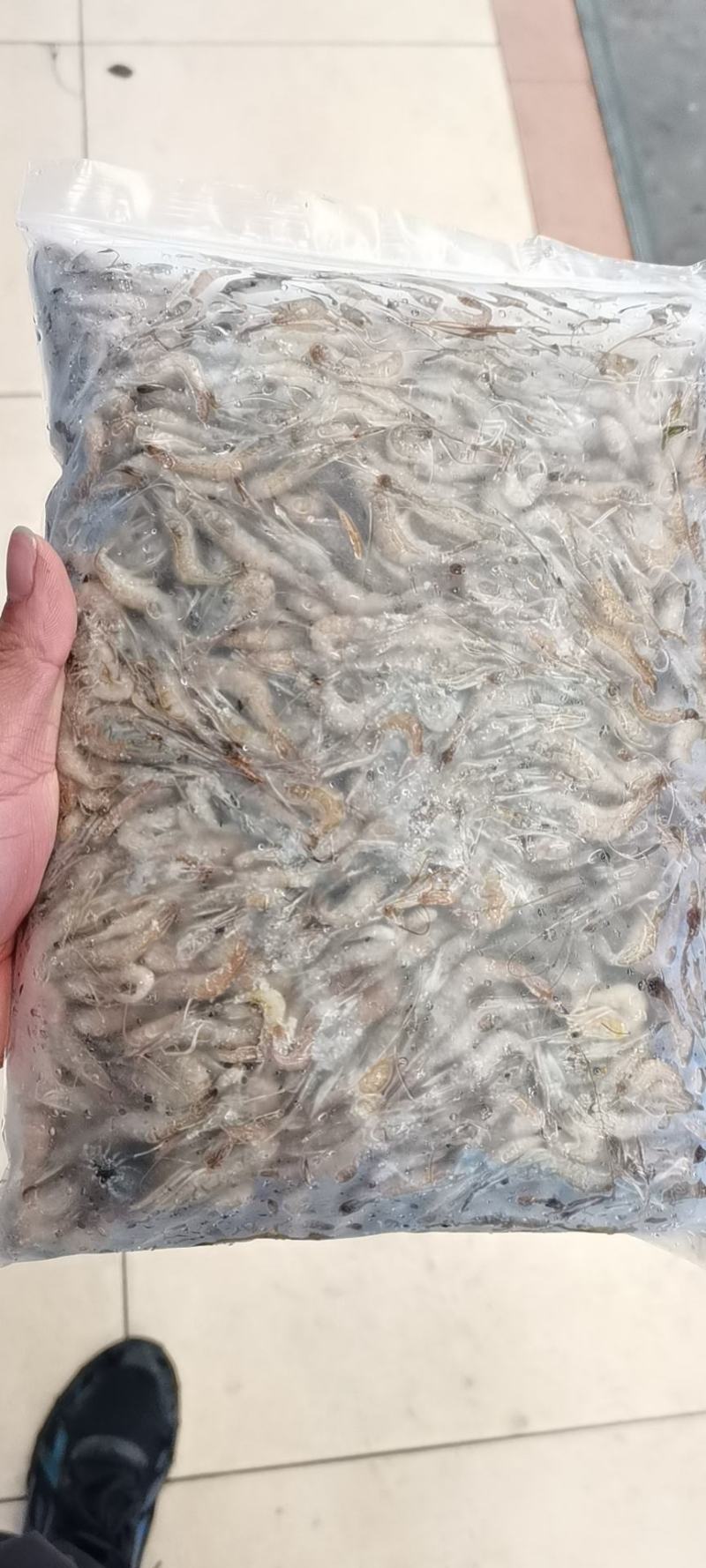 小河虾
