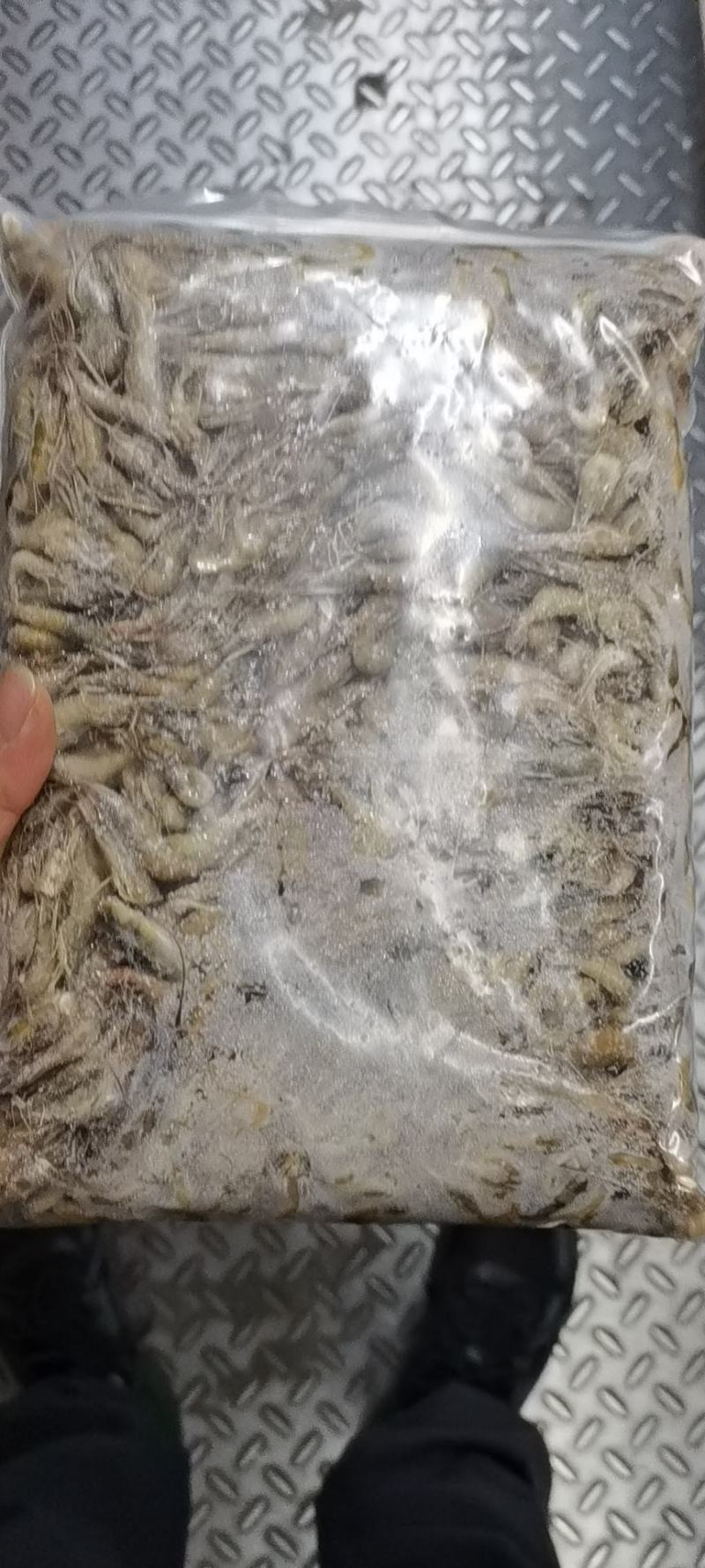 小河虾