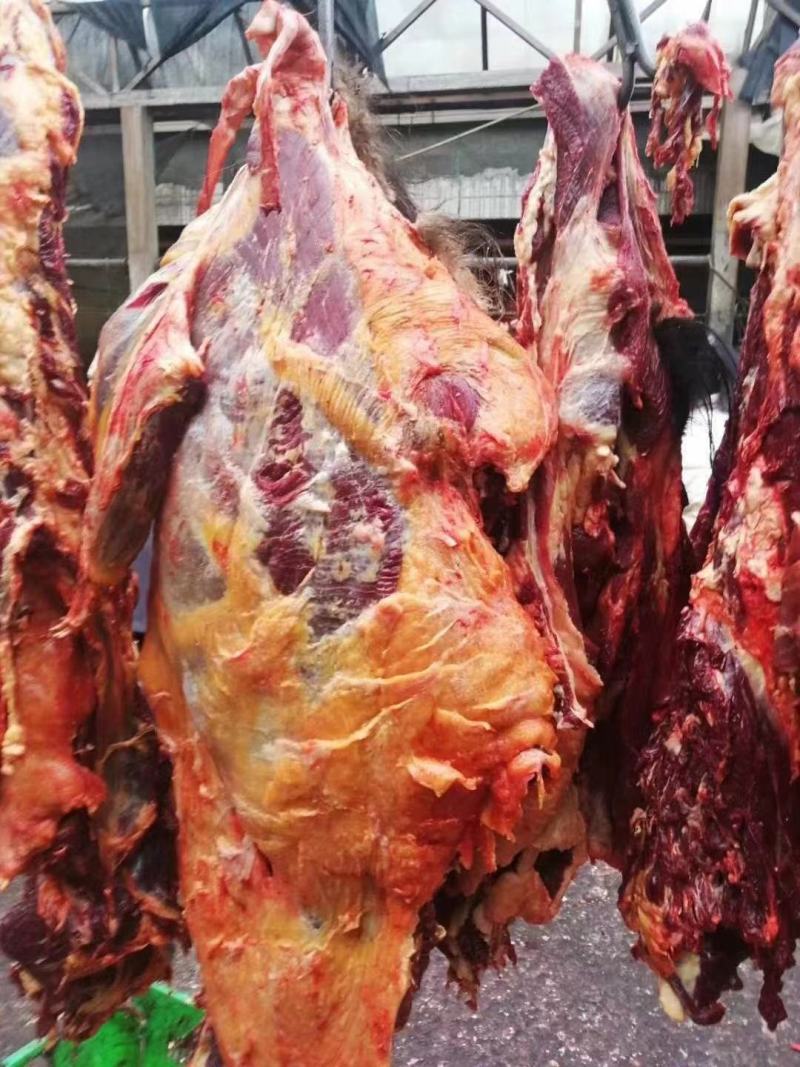高原牦牛肉哦价格实惠有需要的老板赶快前来订购哦