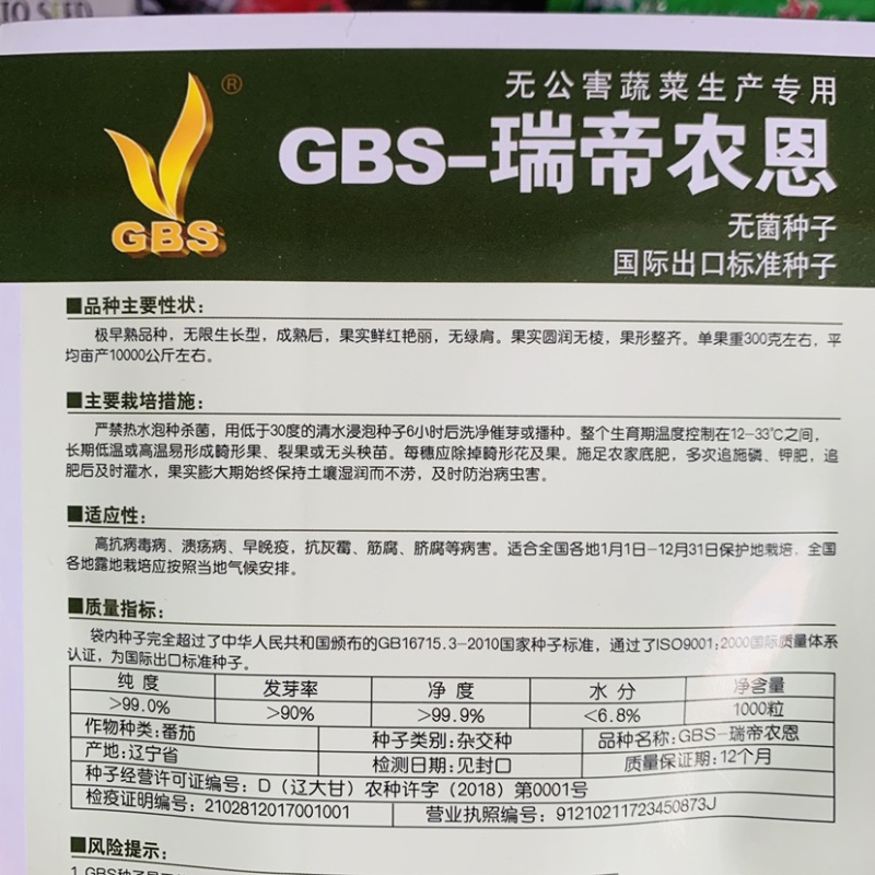 极早熟无绿肩鲜红番茄种子无限生长型大果西红柿抗病