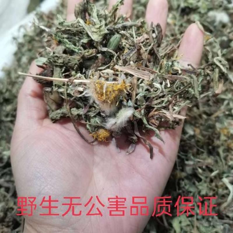 蒲公英，野生新货蒲公英片质量保证，欢迎咨询选购！