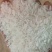 大量批发丝香，糯米，碎米，酒米和5~20斤精包装米。