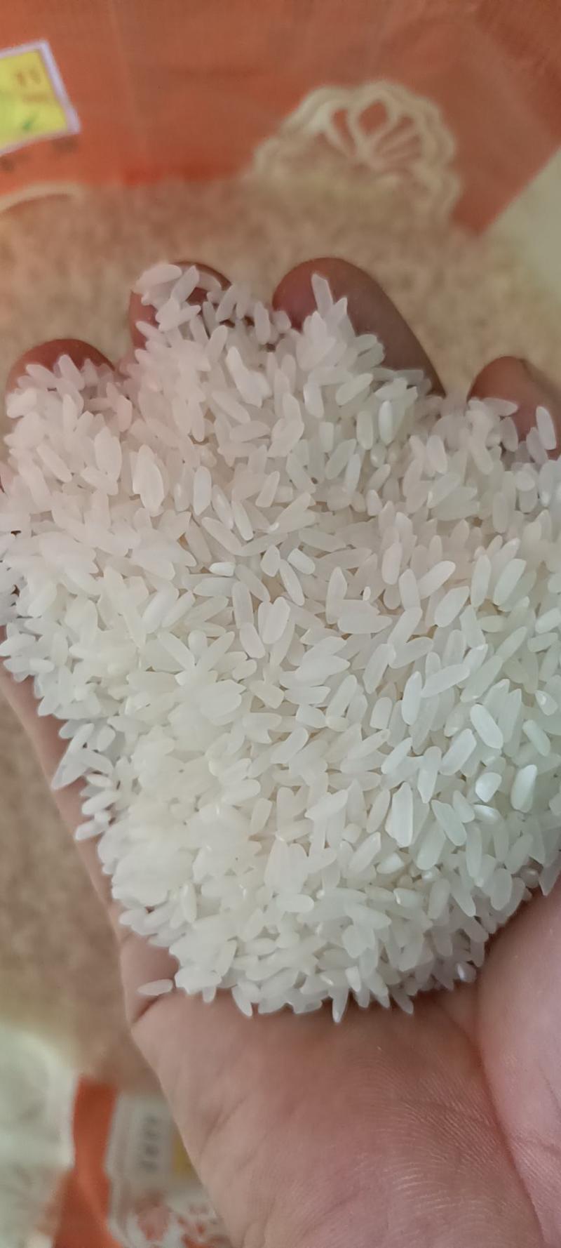 大量批发丝香，糯米，碎米，酒米和5~20斤精包装米。
