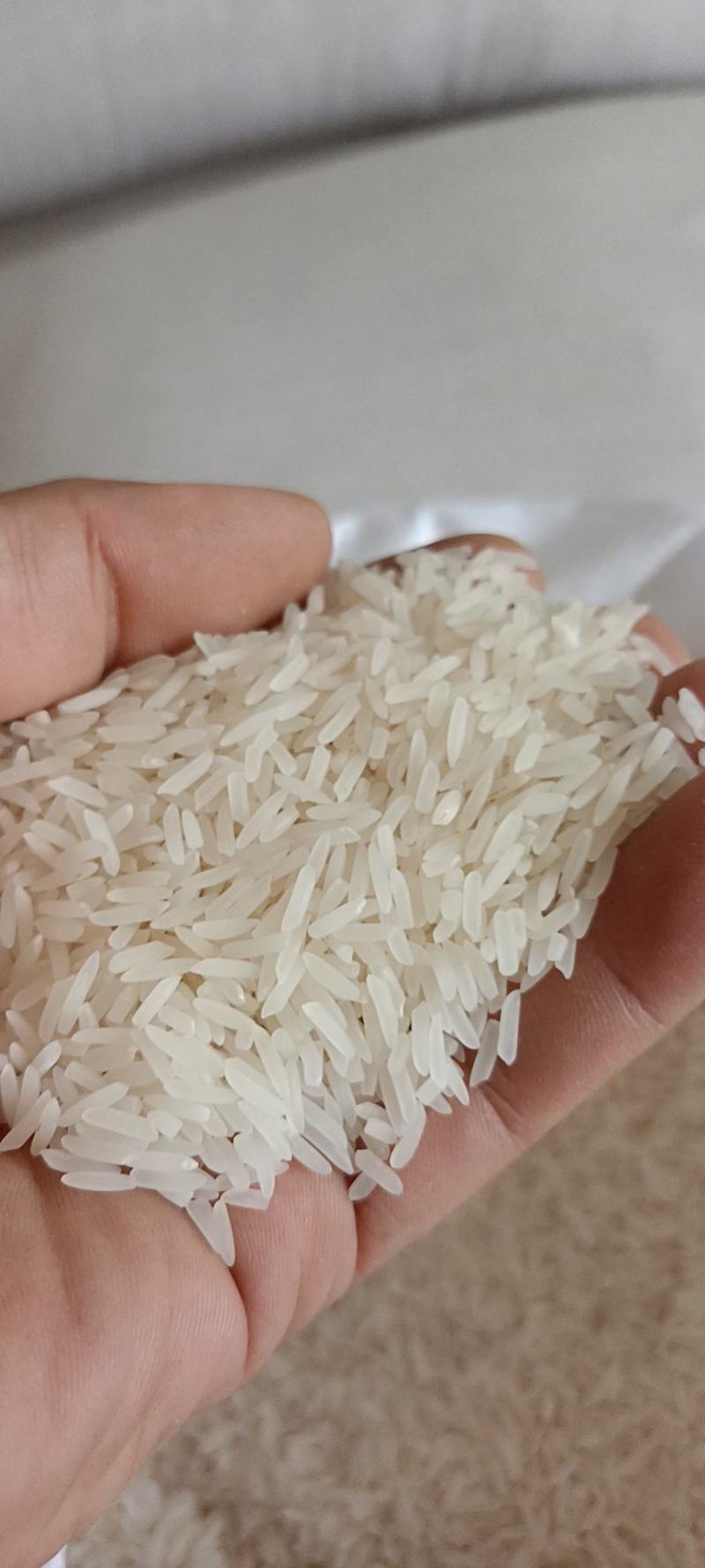 大量批发丝香，糯米，碎米，酒米和5~20斤精包装米。