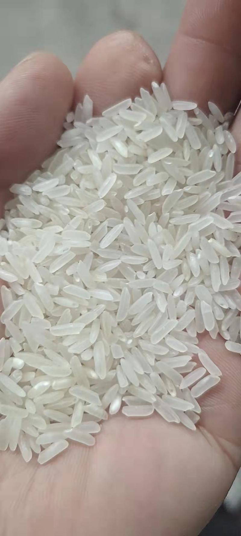 大量批发丝香，糯米，碎米，酒米和5~20斤精包装米。