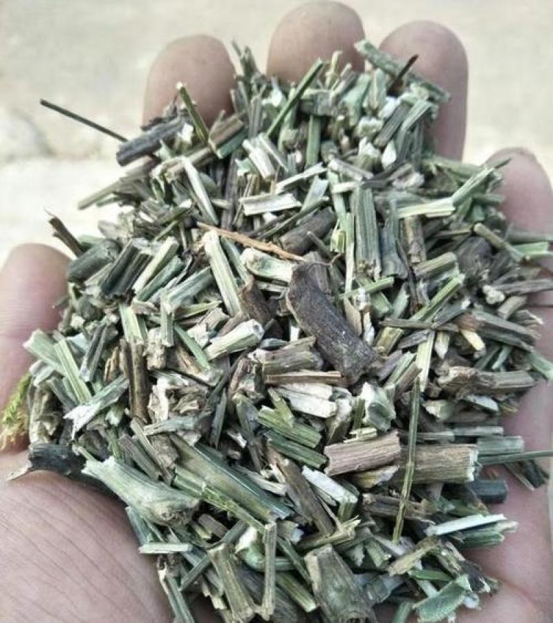 穿心莲，正品穿心莲片新货质量保证，欢迎咨询选购！
