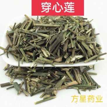 穿心莲，正品穿心莲片新货质量保证，欢迎咨询选购！