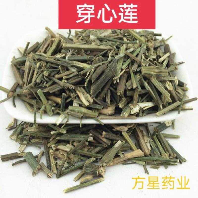 穿心莲，正品穿心莲片新货质量保证，欢迎咨询选购！