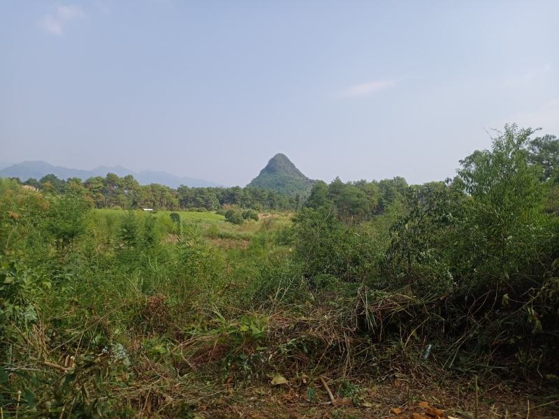 一漂亮的文笔峰，居正坎方。得水而能继。此地必能富贵的地。