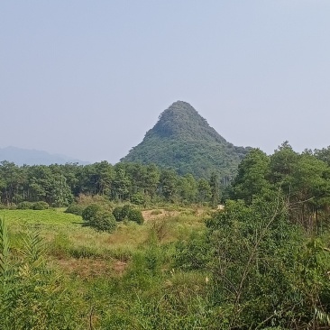 一漂亮的文笔峰，居正坎方。得水而能继。此地必能富贵的地。